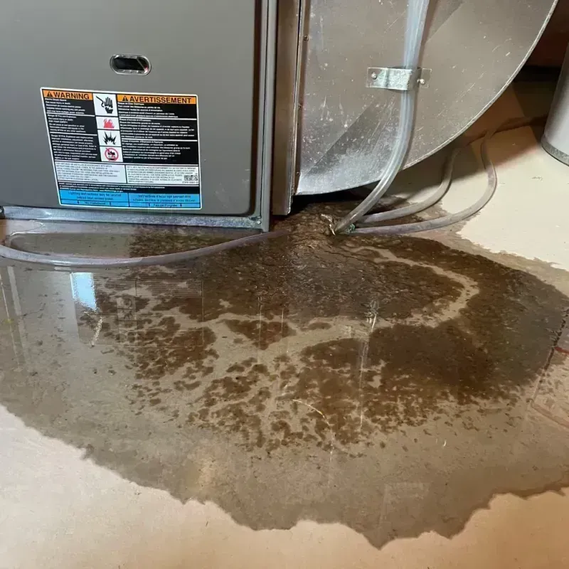 Appliance Leak Cleanup in Kennebunkport, ME